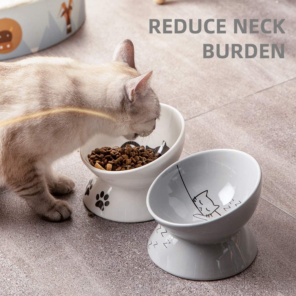 SWEEJAR Cat Food Bowls with Non-Slip Stand, Ceramic Raised Cat Bowl Set for  Food & Water, Porcelain Elevated Pet Dishes to Protect Spine, 12 oz Pet