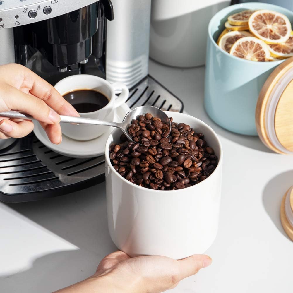 Sweejar Kitchen Canisters Ceramic Food Storage Jar Set | Set of 4