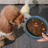 Sweejar Ceramic Dog Bowl |  Porcelain Pet Bowl