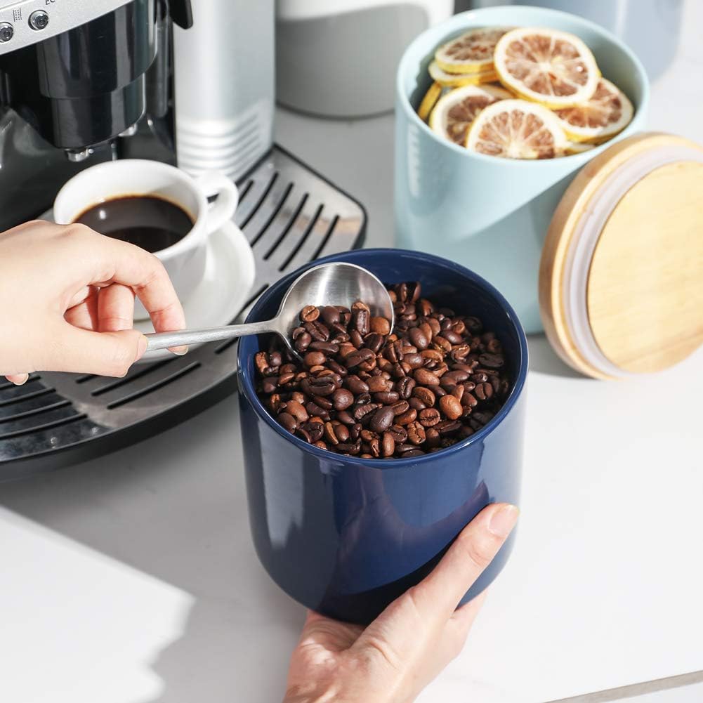 Sweejar Kitchen Canisters Ceramic Food Storage Jar Set | Set of 4