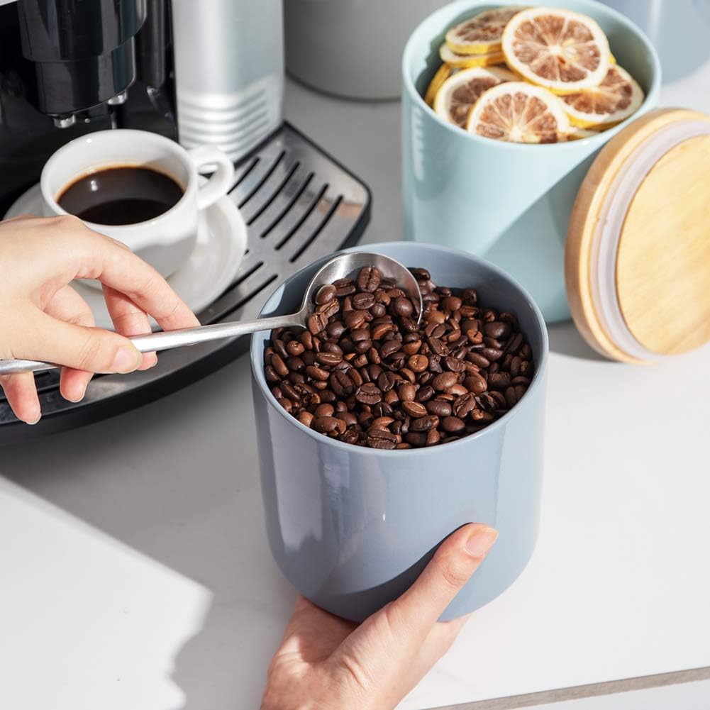 Sweejar Kitchen Canisters Ceramic Food Storage Jar Set | Set of 4