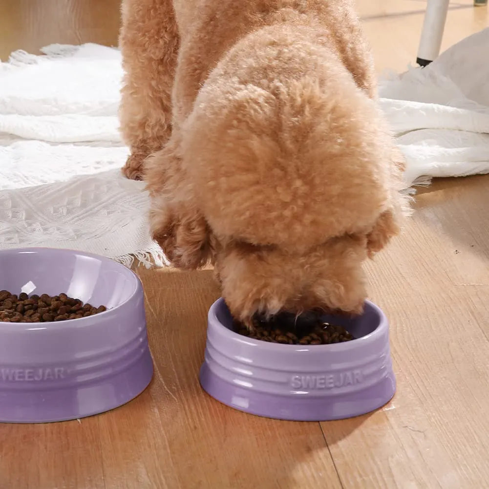 SWEEJAR Ceramic Dog Food Dishes