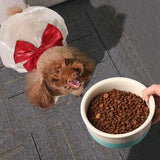 Sweejar Ceramic Dog Bowl |  Porcelain Pet Bowl