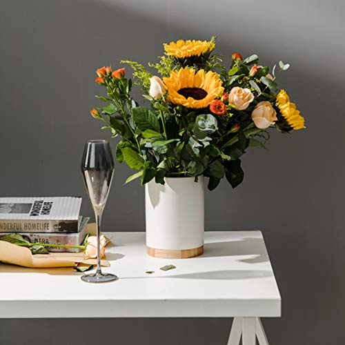 SWEEJAR Kitchen Canisters