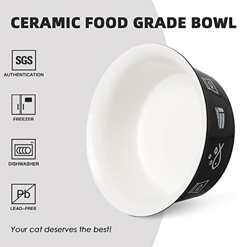 SWEEJAR Cat Food Bowls with Non-Slip Stand | Set of 2