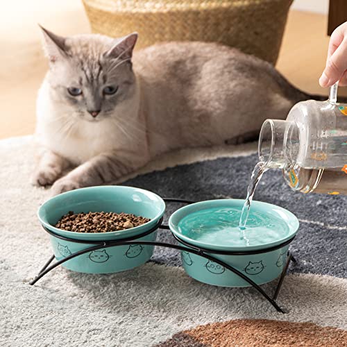 SWEEJAR Cat Food Bowls with Non-Slip Stand | Set of 2