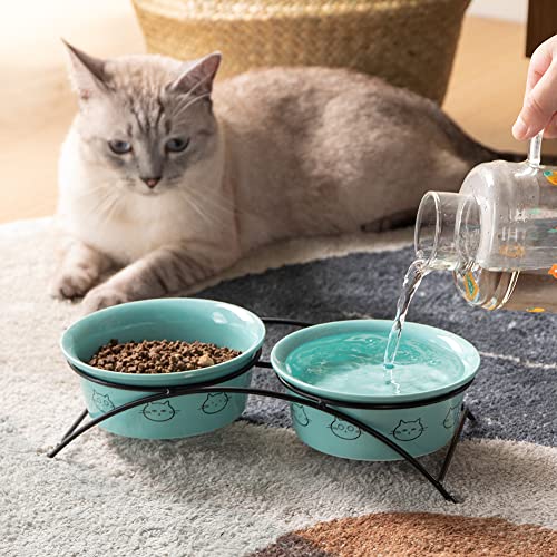 Raised Cat Food Bowl ,Elevated Cat Feeder Bowl Stand, Food & Water Cat  Bowl, Shallow Ceramic Cat Dish, Whisker Friendly No Spill Water Bowl for  Cats
