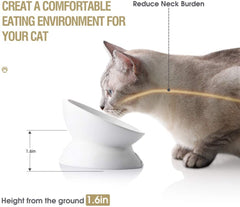 SWEEJAR Raised Cat Bowl for Dry Wet Cat Food – Sweejar Home