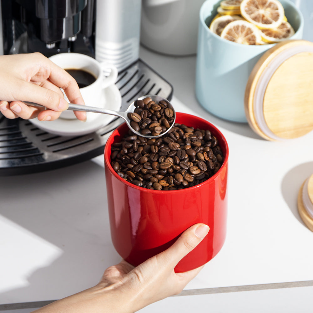 SWEEJAR Kitchen Canisters Ceramic Food Storage Jar Set | Set of 4